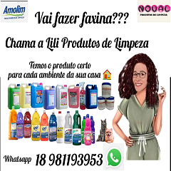 LILI PRODUTOS DE LIMPEZA